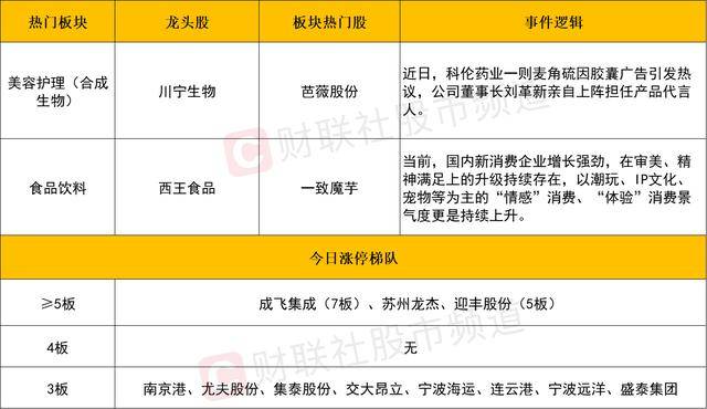 挑戰 5 奈米單次曝光！ASML 攜蔡司研發新一代 Hyper NA EUV 設備