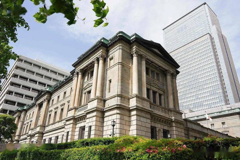 5月理财监测：宠物热度不减、营养有新机遇